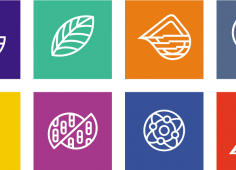 Для дополнительного образования