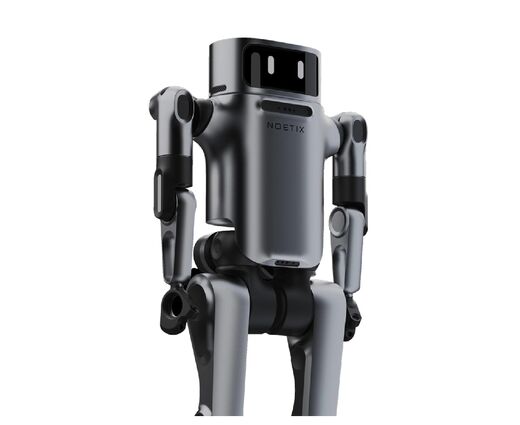   Гуманоидный робот Noetix Dora 