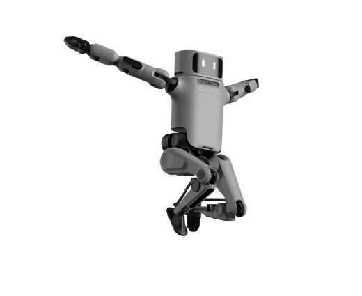   Гуманоидный робот Noetix Dora 