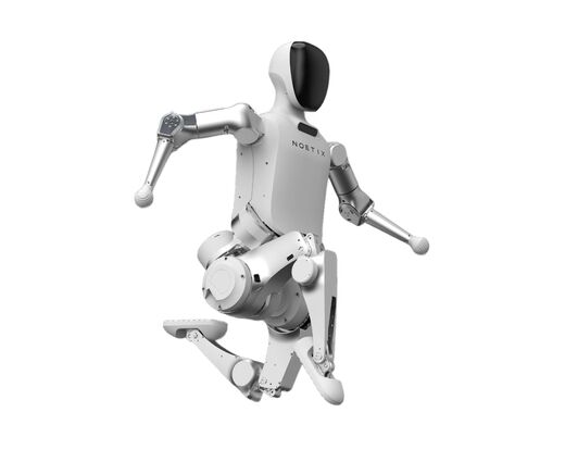 Программно-аппаратный комплекс (робот-гуманоид) Noetix N2 Edu 