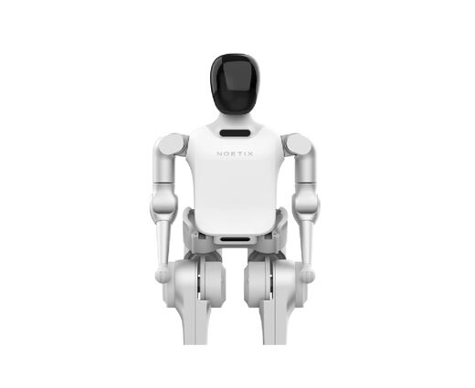 Программно-аппаратный комплекс (робот-гуманоид) Noetix N2 Edu 