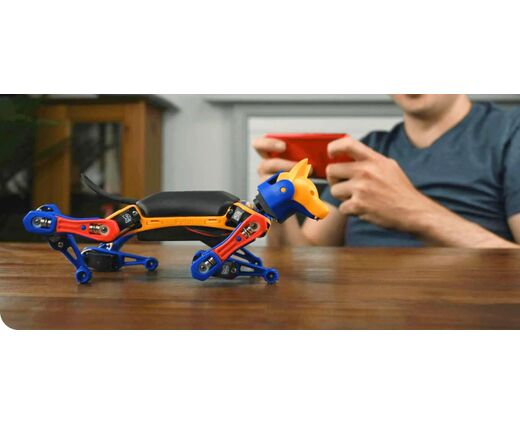   Робособака Petoi BITTLE X 