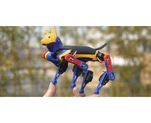   Робособака Petoi BITTLE X 