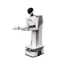 Программно-аппаратный комплекс бренда AgiBot модели G1 