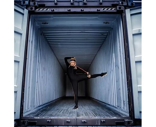 ПО MVN Animate Pro (1 год)