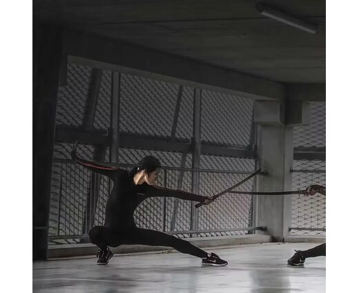 ПО MVN Animate Pro (1 год)