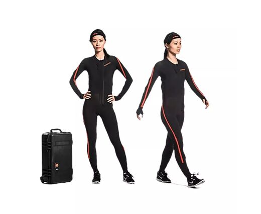 ПО MVN Animate Pro (1 год)