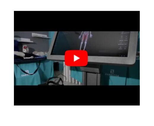 Виртуальный учебный комплекс «Трехмерный анатомический атлас VR» (соответствует Приказу 838 Минпросвещения РФ)