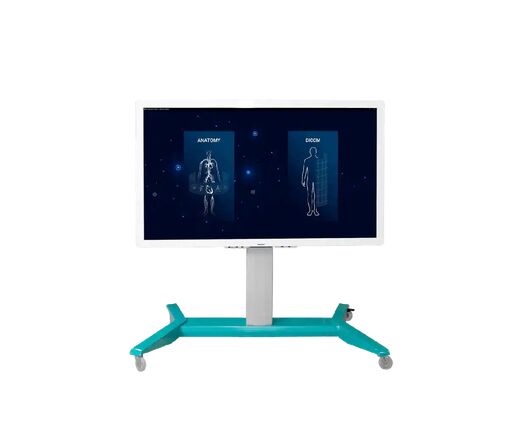 Виртуальный учебный комплекс «Трехмерный анатомический атлас VR» (соответствует Приказу 838 Минпросвещения РФ)