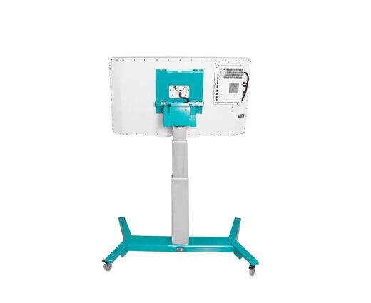 Виртуальный учебный комплекс «Трехмерный анатомический атлас VR» (соответствует Приказу 838 Минпросвещения РФ)