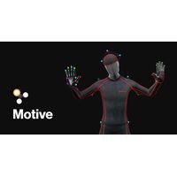  Программное обеспечение Motive Body (OptiTrack) 1 год 