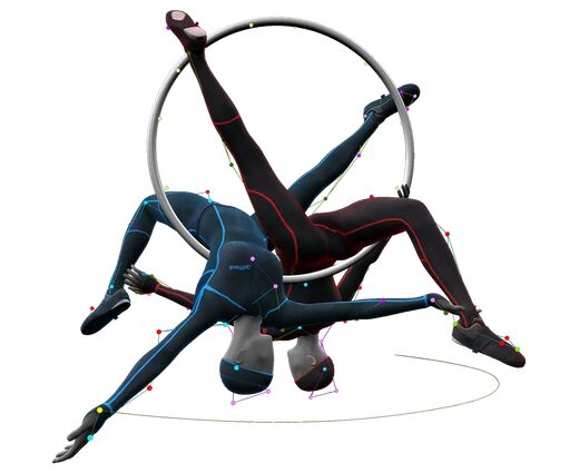  Программное обеспечение Motive Body (OptiTrack) 1 год 