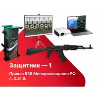 Электронный стрелковый тренажер для стрельбы по проецируемым на экран мишеням "Защитник-1". Приказ 838 Минпросвещения РФ 