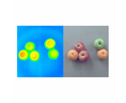  3D RGB-D камера Basler 