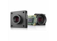 Камера сканирования области Basler dart 