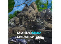Набор образовательных видео в формате 360 по предмету Биология