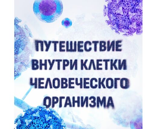 Набор образовательных видео в формате 360 по предмету Биология