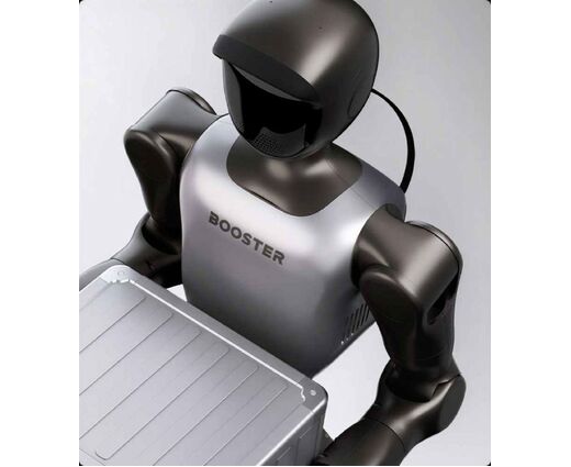Гуманоидный робот Booster Robotics T2 Pro 
