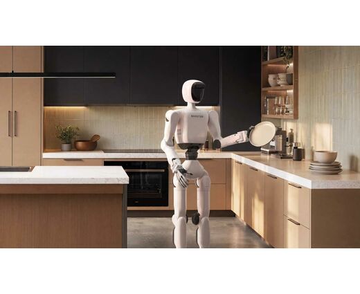 Гуманоидный робот Booster Robotics T2 Pro 