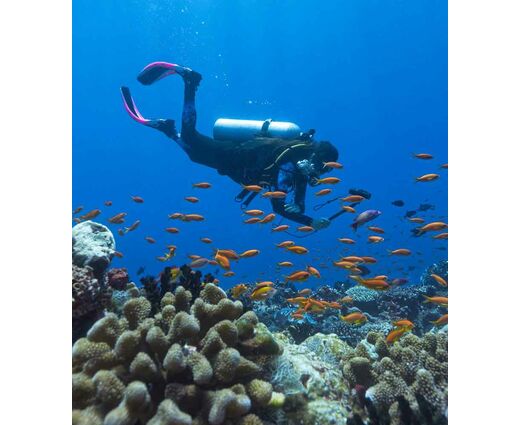 PARALENZ Vaquita 4K - камера для подводной съёмки